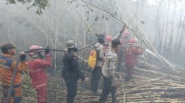 Hutan dan lahan di wilayah Kabupaten Ogan Komering Ilir (OKI), Sumatera Selatan Terbakar. (Dok. BNPB) 
