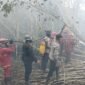 Hutan dan lahan di wilayah Kabupaten Ogan Komering Ilir (OKI), Sumatera Selatan Terbakar. (Dok. BNPB) 

