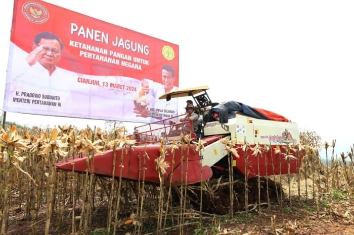 Kementerian Pertahanan dan Kementerian Pertanian panen raya jagung di lahan food estate Cianjur, Jawa Barat, Kamis 14/03/2024. (Dok. Kemhan.go.id)