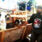 Taruna Tani Gunung Geulis terima bantuan 50 ekor domba Garut dari Kenenterian Pertanian (Dok.Hallobandung.com / Tatang Tarmedi)