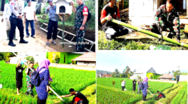 Koramil Tanjungsari upaya antisipasi hama tikus dengan membuat Rumah Burung Hantu ( Dok.Hallobandung.com / NSH )
