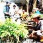 Para penyuluh rutin menggelar program Juna  bekerja sama dengan Forum Peduli Gunung Geulis, (Dok.Hallobandung.com / Tatang Tarmedi)