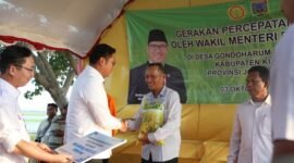 Wakil Menteri Pertanian (Wamentan) Sudaryono terjun ke sawah lakukan percepatan tanam. (Dok. Kementan)
