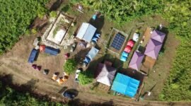 JOB Tomori melaksanakan program Pertanian Berkelanjutan Petani Banggai  (Panutan Banggai) di Moilong , Sulawesi Tengah. (Dok. Pertamina EP)