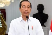 Mantan Presiden Joko Widodo. (Dok. presidenri.go.id)