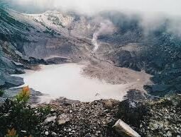 Meskipun  ada Aktivitas vulkanik, banyak wisatawan yang datang ke Gunung Tangkupan Perahu.