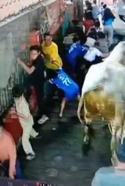 Seekor Sapi jumbo untuk kurban di Kopo Bandung mengamuk , dan membawa korban empat orang anak dan satu orang dewasa