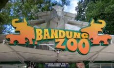 Jika masih kisruh, Pemkot Bandung Opsi Cabut Izin Pengelolaan Bandung Zoo.