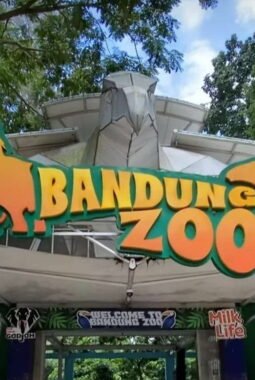 Jika masih kisruh, Pemkot Bandung Opsi Cabut Izin Pengelolaan Bandung Zoo.