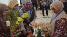 UMKM Priangan Timur kini bisa tampil di Galeri Foto Hallo Tasik tanpa biaya promosi. (Instagram.com @dkukmpciamis)